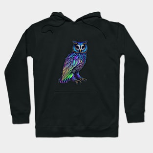 holographic colorful cute OWL Hoodie